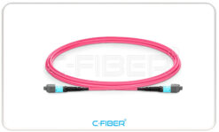 Dây nhảy quag TRUNK MPO/MTP