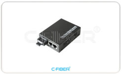Bộ chuyển đổi quang điện 2 RJ45 10/100M
